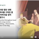 엔로겔 이미지