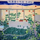 은빛모래야영장 이미지