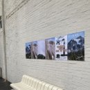 김포대로-L 이미지