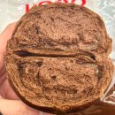 빵굽빵굿 이미지