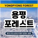 용평포레스트 | 용평 포레스트 회원권 가격과 장점 실사용 후기 - a / b 타입 79평 86평 118평 객실