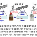 마이클린 이미지