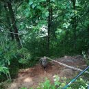 천연산야초농장 이미지