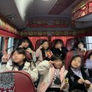 대진 윙 태권도 이미지