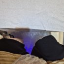 디자인 대로 | 일산 네일 디자인부터 관리까지 만족했던 후기