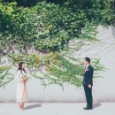 힐리프리