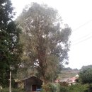 미류네 농장 이미지