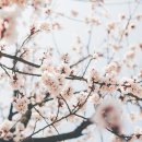 스튜디오새나라 이미지