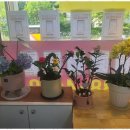 가야공인중개사사무소 이미지