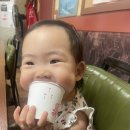 인삼로 | 20250719 충북 괴산 충북 아쿠아리움, 장터국수, 미몽