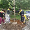 오도미 경관 숲 이미지