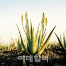 김정기농장 이미지