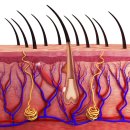 미인동안의원 이미지