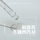 맞춤형 화장품 조제관리사 | 지식설계스토어 맞춤형화장품조제관리사 전자책 후기, 합격과 실무를 동시에 준비하는 방법