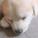 오늘뭘까