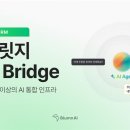 브릿지에이전트 이미지