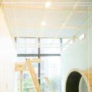 고양이 이발관 이미지