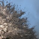 주식회사 미루 이미지