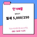 학하랜드공인중개사사무소 | 학하동 월세 5,000/250 - 학하랜드공인중개사사무소