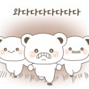 어썸캠핑장 이미지