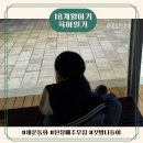 이시아동물병원 | 아디다스 아기 운동화, 하루 일과 스케줄, 첫 밤 나들이, 연두비 포켓도감 후기, 다시만난 콩콩이 등