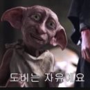 하루와이틀