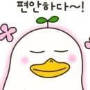 와와점핑다이어트 - 동작구 | 와와점핑다이어트