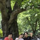 신안사 | 🧘 충남 금산의 힐링 사찰, 신안사 방문기 💚
