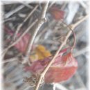 홈크리닝 이미지