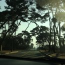 갤러리배동 이미지