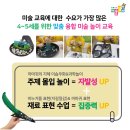 2025년은 유아미술부터 아동미술학원 창업 모두 도전해보세요!(라이트 퍼포먼스 출시기념 무료 설명회)