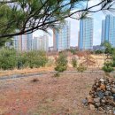 은여울공원 이미지