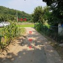 공인농장 이미지