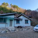 금봉자연휴양림 티스토리