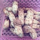 나라유통 이미지