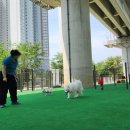여주-0435 올치올치