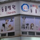 스마일양한방동물병원 이미지