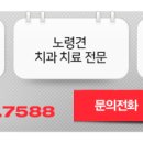 수서동물병원 이미지