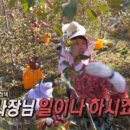 김인석 농장 이미지