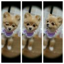 몽이스토리