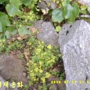 무성산 이미지