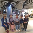 Walking Group(2025.6.7,토) 잠실(석촌호수) 걷기를 마치고 이미지