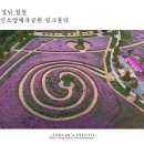 신소양체육공원1 이미지