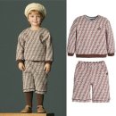 모이몰른 이미지