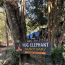 더 엘레펀트 | [태국] 치앙마이에서 코끼리랑 놀고 싶다면 여기로, HUG ELEPHANT SANCTUARY 허그 엘레펀트 생츄어리