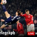 D-Line motors 이미지