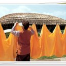 늘푸른 관광농원 이미지