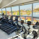 비비드짐 이미지