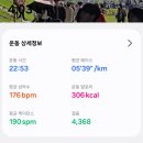 러닝화추천, 미즈노 네오 젠2(NEO ZEN2) 착용 후기 및 비슷한 포지션 런닝화 정리