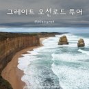 마이리틀아일랜드 | 마이리얼트립 할인코드 10월 쿠폰! 호주 멜버른 그레이트 오션로드 소규모 투어 내돈내산 후기